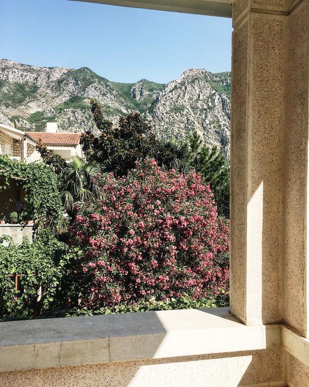 Villa Teuta Risan Oda fotoğraf