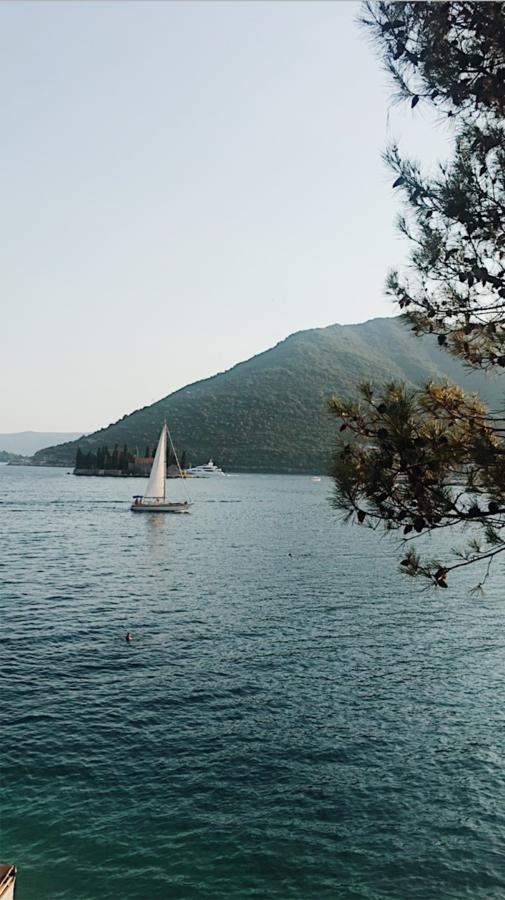 Villa Teuta Risan Dış mekan fotoğraf